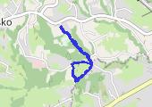 Trasa z dnia 2016-06-12 19:23 - mapa trasy gps - marsz
