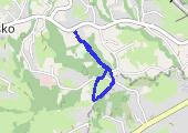 Trasa z dnia 2016-06-18 18:47 - mapa trasy gps - marsz
