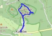 Trasa z dnia 2013-04-29 15:24 - mapa trasy gps - marsz