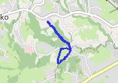Trasa z dnia 2016-06-19 19:11 - mapa trasy gps - marsz