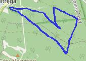 Trasa z dnia 2016-06-21 20:02 - mapa trasy gps - bieganie