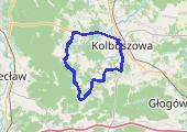 Trasa z dnia 2016-06-23 18:14 - mapa trasy gps - rower szosowy