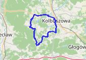 Trasa z dnia 2016-06-30 19:57 - mapa trasy gps - rower szosowy