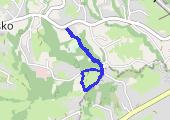 Trasa z dnia 2016-07-07 19:13 - mapa trasy gps - marsz