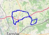 Trasa z dnia 2016-07-08 17:06 - mapa trasy gps - rower szosowy