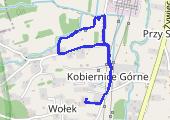 Trasa z dnia 2013-05-15 15:32 - mapa trasy gps - marsz