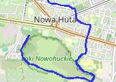 Trasa z dnia 2016-07-09 19:43 - mapa trasy gps - spacer