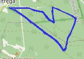Trasa z dnia 2016-07-12 20:12 - mapa trasy gps - bieganie