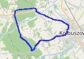 Trasa z dnia 2016-07-17 19:31 - mapa trasy gps - bieganie