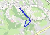 Trasa z dnia 2016-07-25 19:27 - mapa trasy gps - marsz