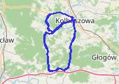Trasa z dnia 2016-07-25 19:48 - mapa trasy gps - rower szosowy
