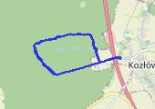 Trasa z dnia 2013-03-10 15:15 - mapa trasy gps - spacer