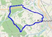 Trasa z dnia 2016-08-01 20:16 - mapa trasy gps - bieganie