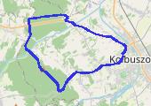 Trasa z dnia 2016-08-08 20:43 - mapa trasy gps - bieganie