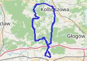Trasa z dnia 2016-08-09 19:41 - mapa trasy gps - rower szosowy
