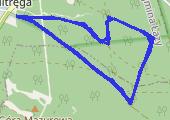 20160329_075047 - mapa trasy gps - bieganie