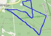 20160301_155456 - mapa trasy gps - bieganie