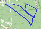 Trasa z dnia 2016-08-11 18:14 - mapa trasy gps - bieganie