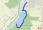 8 km po południu - mapa trasy gps - bieganie