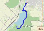 7 km - mapa trasy gps - bieganie