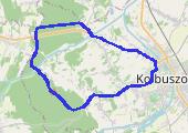 Trasa z dnia 2016-08-20 10:30 - mapa trasy gps - bieganie