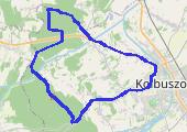 Trasa z dnia 2016-08-25 19:46 - mapa trasy gps - bieganie