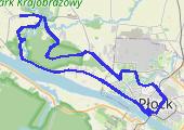 Trasa z dnia 2016-08-31 12:32 - mapa trasy gps - rower górski
