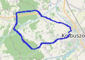 Trasa z dnia 2016-09-09 18:51 - mapa trasy gps - bieganie