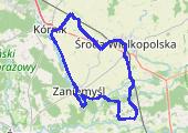 Trasa z dnia 2016-09-12 10:42 - mapa trasy gps - rower górski