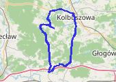 Trasa z dnia 2016-09-15 18:50 - mapa trasy gps - rower szosowy