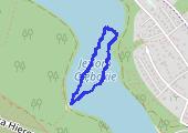 Pływanie Głębokie - mapa trasy gps - pływanie dowolne
