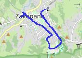Trasa z dnia 2016-09-21 16:49 - mapa trasy gps - nordic walking