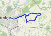 Ostrołęka -okolice nocą 2016-10-14 19:25 - mapa trasy gps - rower szosowy