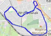 Trasa z dnia 2016-11-01 20:39 - mapa trasy gps - marsz