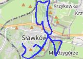 2016-01-14 656941911 Running Endomondo - mapa trasy gps - bieganie