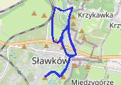 2016-01-29 663931401 Running Endomondo - mapa trasy gps - bieganie