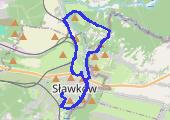 2016-02-14 671957580 Running Endomondo - mapa trasy gps - bieganie