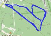 Trasa z dnia 2016-11-05 15:52 - mapa trasy gps - bieganie