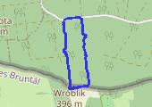 Trasa z dnia 2016-11-06 16:18 - mapa trasy gps - marsz