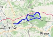 Tarnów - Czarna lasem - mapa trasy gps - rower trekkingowy