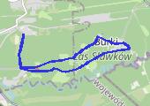 Trasa z dnia 2016-12-04 11:21 - mapa trasy gps - bieganie