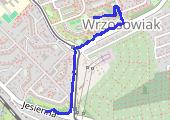 Trasa z dnia 2016-12-06 17:00 - mapa trasy gps - marsz
