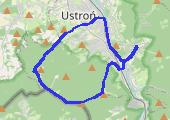 Trasa z dnia 2016-01-17 15:28 - mapa trasy gps - bieganie
