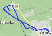 Trasa z dnia 2016-01-10 13:58 - mapa trasy gps - bieganie