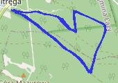 Trasa z dnia 2016-12-11 11:38 - mapa trasy gps - bieganie