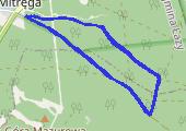 Trasa z dnia 2016-12-24 08:57 - mapa trasy gps - bieganie