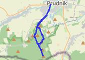 Reimannsruh, Zbylut i Sępik - mapa trasy gps - marsz