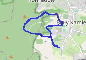 Trasa z dnia 2016-12-31 14:39 - mapa trasy gps - jazda konna
