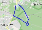 Trasa z dnia 2017-01-03 12:46 - mapa trasy gps - bieganie