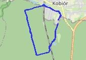Trasa z dnia 2017-01-08 15:32 - mapa trasy gps - spacer